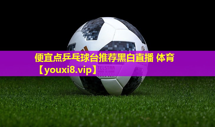 便宜点乒乓球台推荐黑白直播 体育