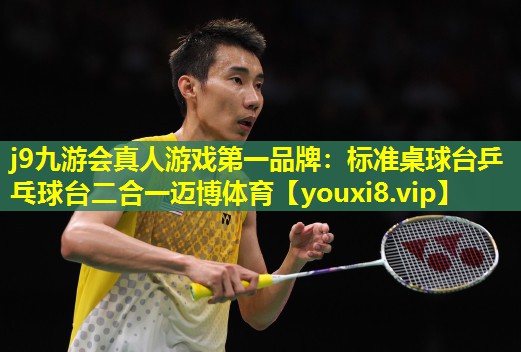 j9九游会真人游戏第一品牌：标准桌球台乒乓球台二合一迈博体育